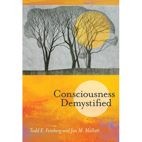 Consciousness Demystified - Paperback