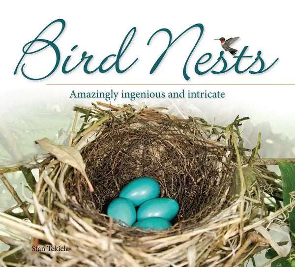 Bird Nests: Amazingly Ingenious and Intricate - Paperback