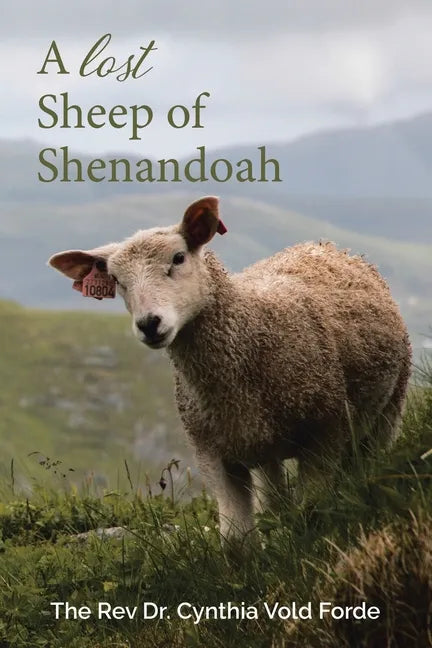 A Lost Sheep of Shenandoah: Charles Edwin Rinker of Virginia and Harry Bernard King of Iowa: Dna Reveals They Were the Same Man - Paperback