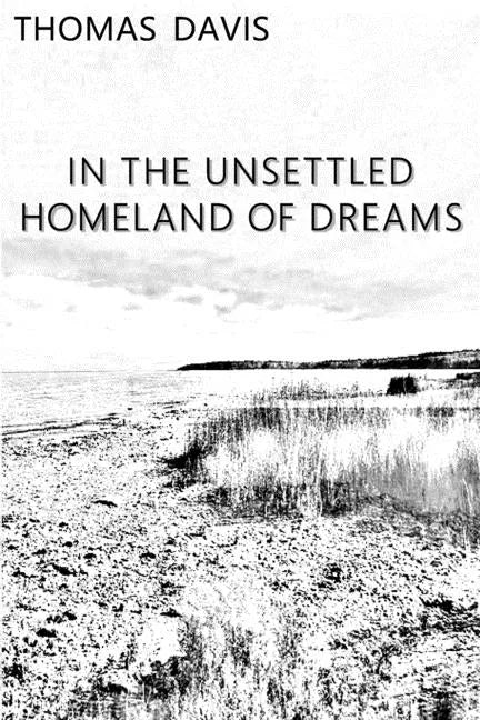 In the Unsettled Homeland of Dreams - Paperback