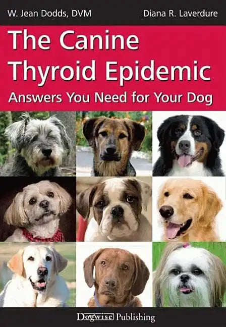 The Canine Thyroid Epidemic: Answers You Need for Your Dog - Paperback