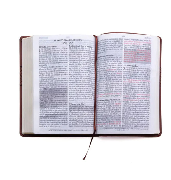 Santa Biblia de Promesas Reina Valera 1960 / Letra Gigante - 13 Puntos / Piel Especial Con Índice Y Cierre / Café // Spanish Promise Bible Rvr 1960 / - Imitation Leather