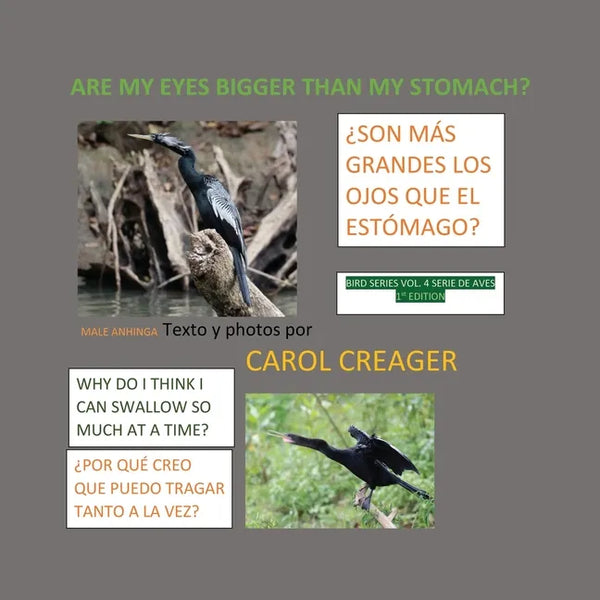 Are My Eyes Bigger than My Stomach: Juvenile Anhinga - Paperback
