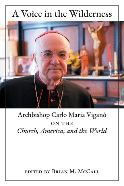 A Voice in the Wilderness: Archbishop Carlo Maria Viganò on the Church, America, and the World - Paperback