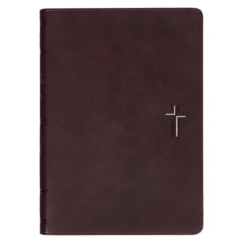 NLT Holy Bible Everyday Devotional Bible for Men New Living Translation, Vegan Leather, Cross Emblem - Leather