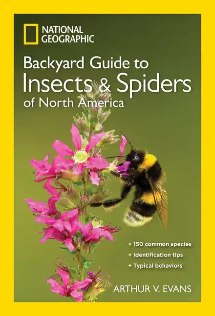 National Geographic Backyard Guide to Insects and Spiders of North America - Paperback