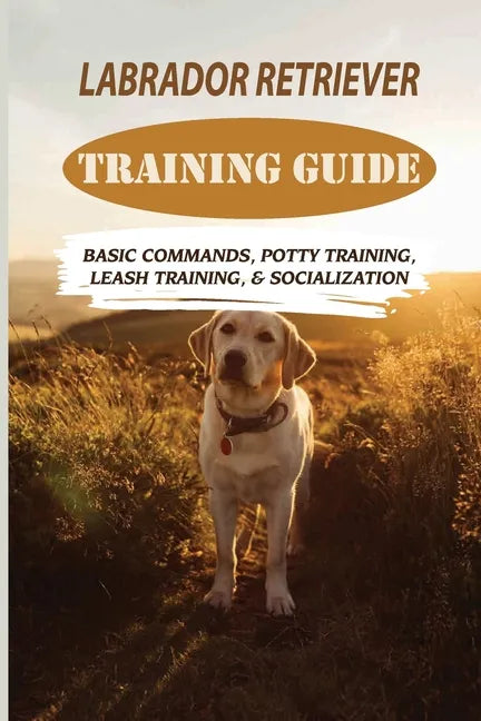 Labrador Retriever Training Guide: Basic Commands, Potty Training, Leash Training, & Socialization: Facts About Labrador Retriever - Paperback