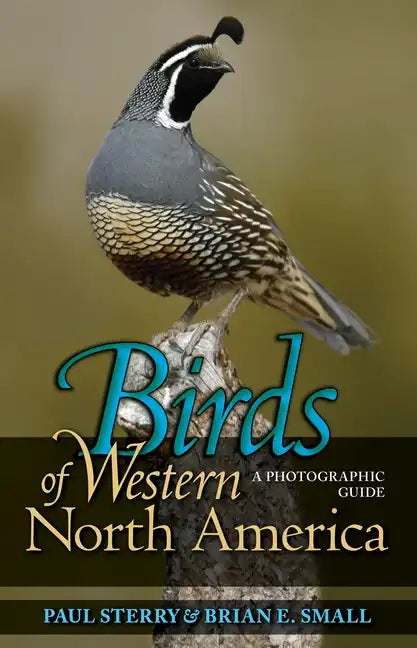 Birds of Western North America: A Photographic Guide a Photographic Guide - Paperback