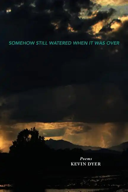 Somehow Still Watered When It Was Over - Paperback