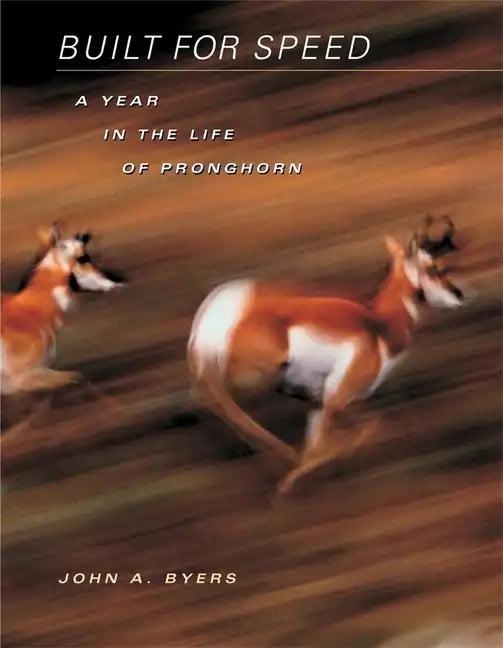 Built for Speed: A Year in the Life of Pronghorn - Hardcover