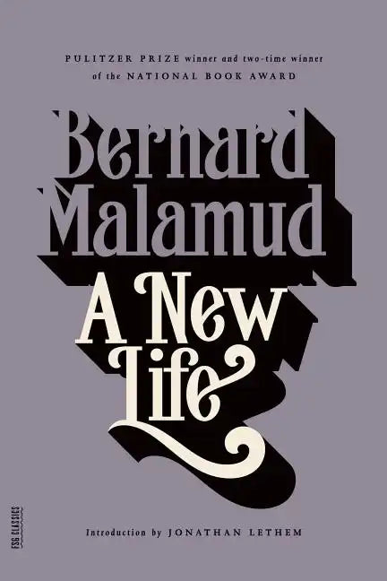 A New Life - Paperback