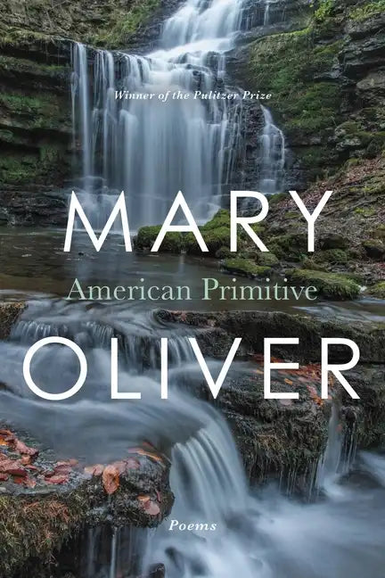 American Primitive - Paperback