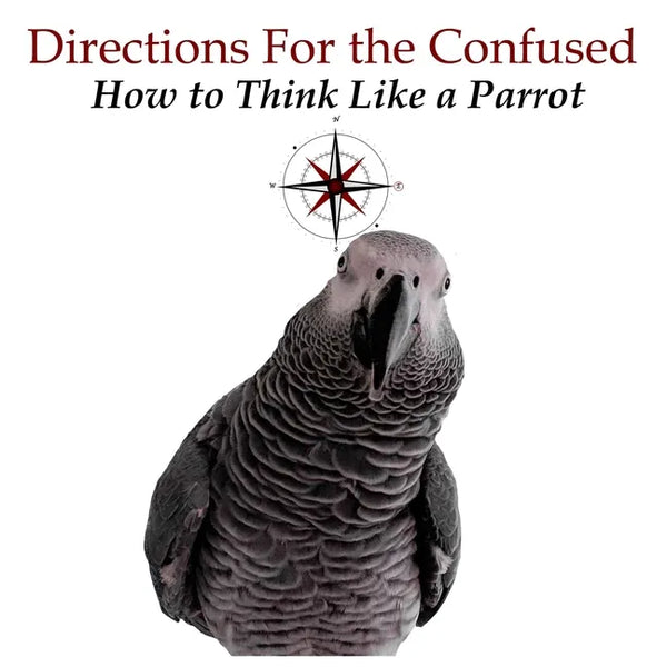 Directions for the Confused: How To Think Like a Parrot - Paperback