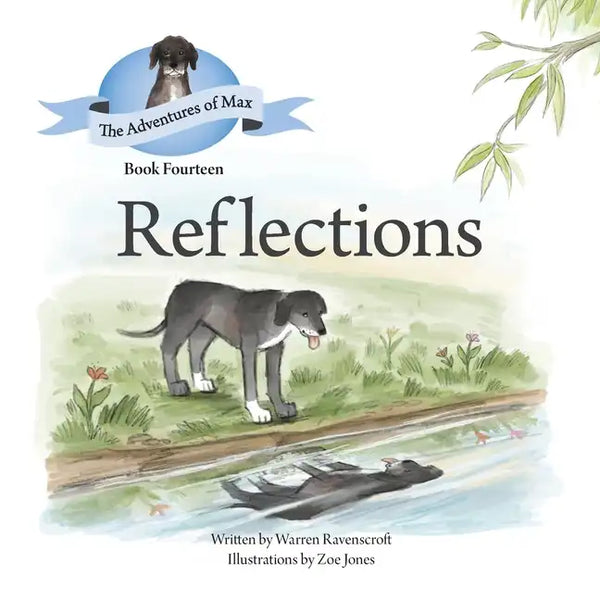 Reflections - Paperback
