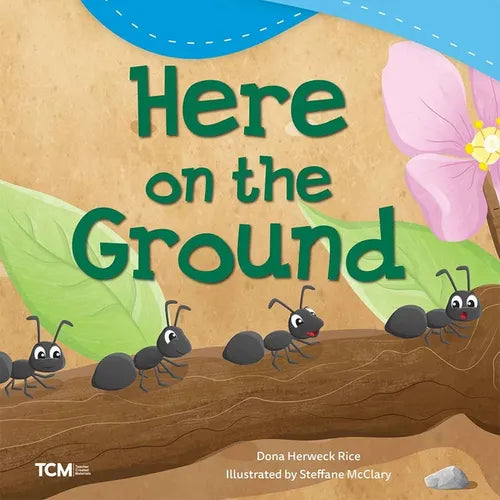 Here on the Ground - Paperback