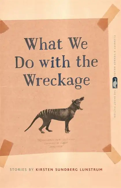 What We Do with the Wreckage: Stories - Paperback