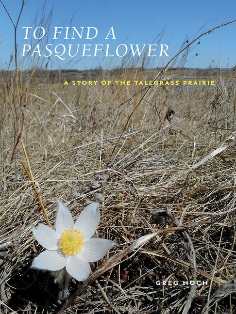 To Find a Pasqueflower: A Story of the Tallgrass Prairie - Paperback