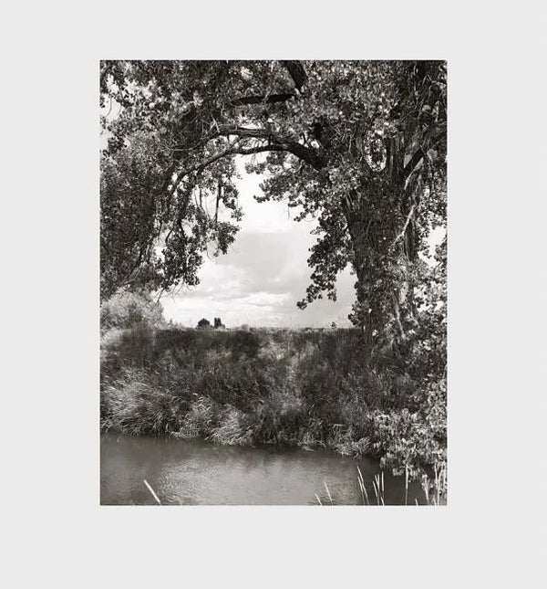 Robert Adams: Cottonwoods - Hardcover