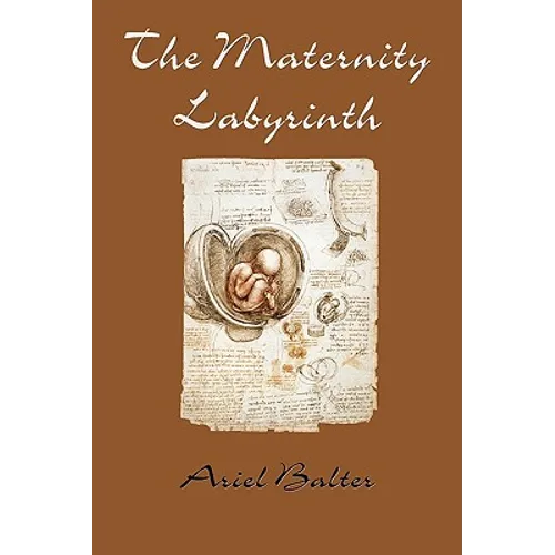 The Maternity Labyrinth - Paperback