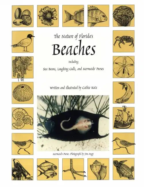 The Nature of Florida's Beaches: Including Sea Beans, Laughing Gulls and Mermaids' Purses - Paperback