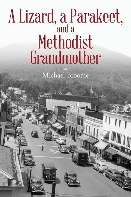 A Lizard, a Parakeet, and a Methodist Grandmother - Paperback