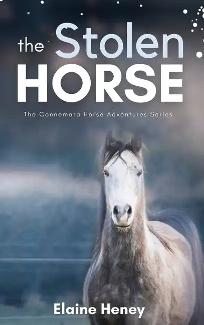 The Stolen Horse - Book 4 in the Connemara Horse Adventure Series for Kids The Perfect Gift for Children - Hardcover