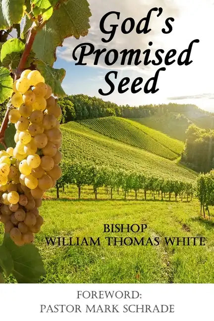 God's Promised Seed: Book Studies of Jesus the Christ - Paperback
