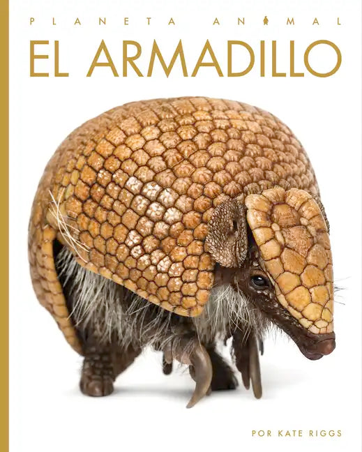 El Armadillo - Paperback