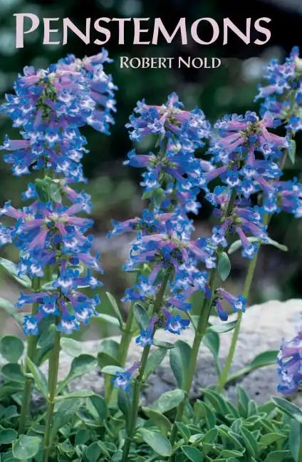 Penstemons - Paperback