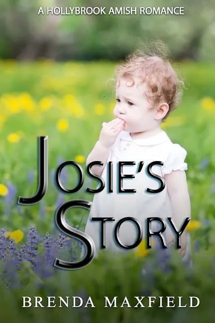 Amish Romance: Josie's Story: A Hollybrook Amish Romance Bundle - Paperback