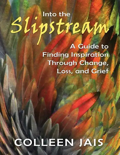 Into the Slipstream: A Guide to Finding Inspiration Through Change, Loss, and Grief - Paperback