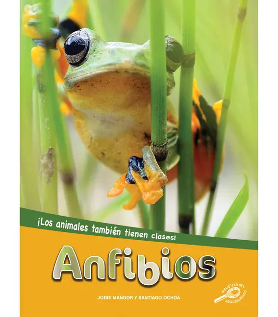 Anfibios: Amphibians - Paperback