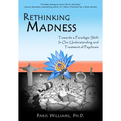 Rethinking Madness: Towards a Paradigm Shift in Our Understanding and Treatment of Psychosis - Paperback