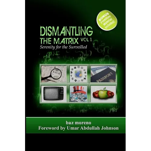 Dismantling the Matrix: Serenity for the Surveilled - Paperback