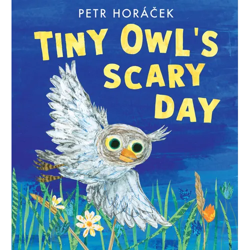 Tiny Owl's Scary Day - Hardcover