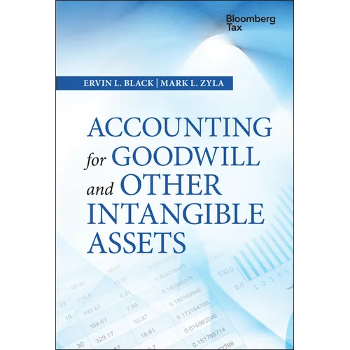 Accounting for Goodwill and Other Intangible Assets - Hardcover