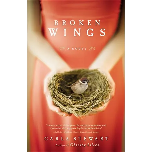 Broken Wings - Paperback