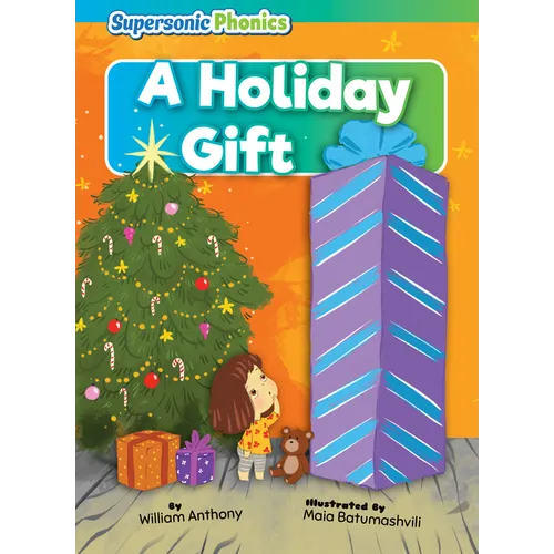 A Holiday Gift - Library Binding
