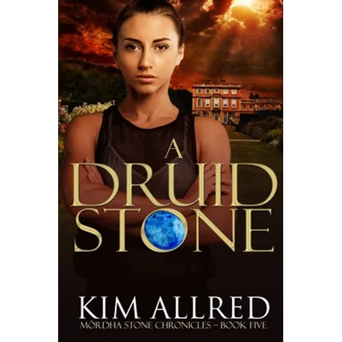 A Druid Stone: A Time Travel Romance Adventure - Paperback