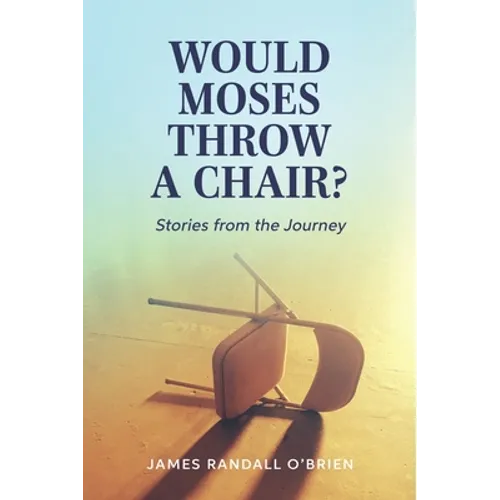 Would Moses Throw a Chair?: Stories from the Journey - Paperback
