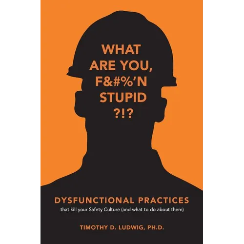 Dysfunctional Practices: that kill your Safety Culture (and what to do about them) - Paperback