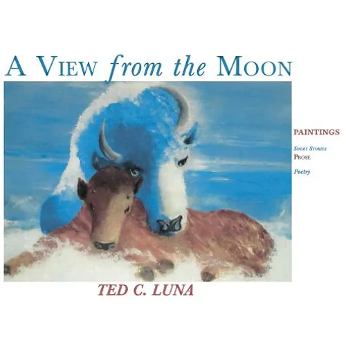 A View from the Moon (Hardcover): Paintings, Poetry, Prose, Short Stories - Hardcover