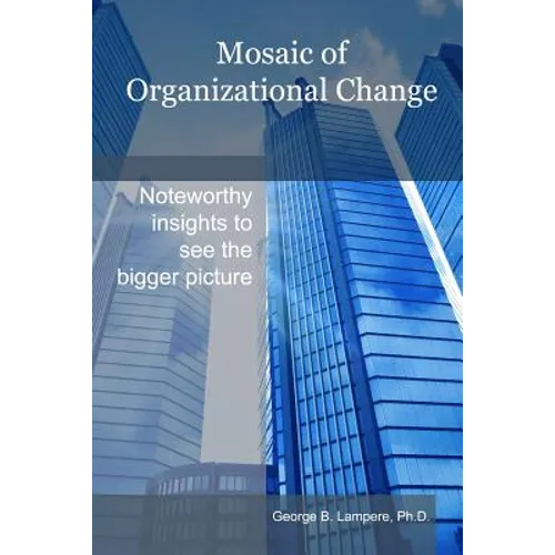 Mosaic of Organizational Change - Paperback