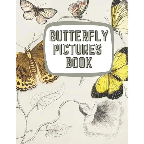 Learning About Butterflies: Illustrations of Butterflies & Moths - Paperback