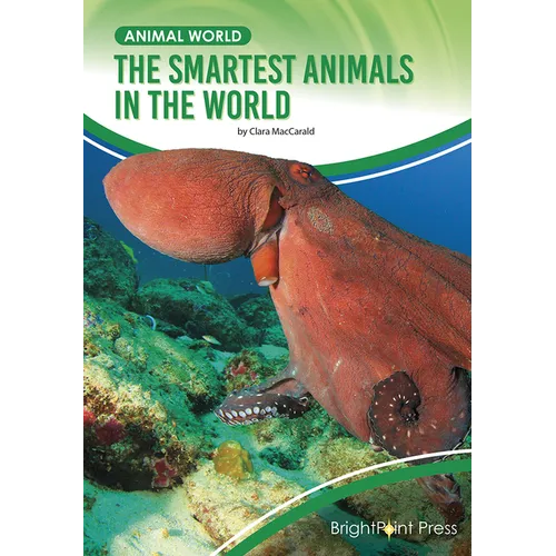 The Smartest Animals in the World - Hardcover
