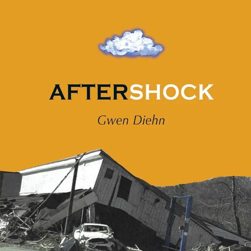 AfterShock - Paperback