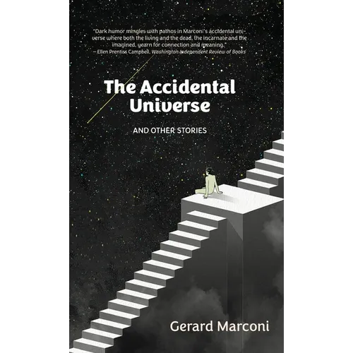 The Accidental Universe and Other Stories - Hardcover