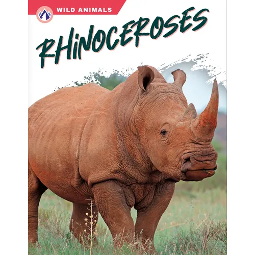 Rhinoceroses - Paperback