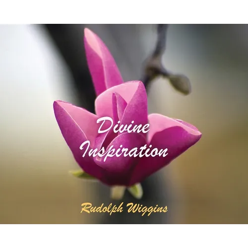 Divine Inspiration - Hardcover