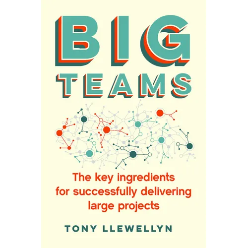 Big Teams: The Key Ingredients for Successfully Delivering Large Projects - Paperback